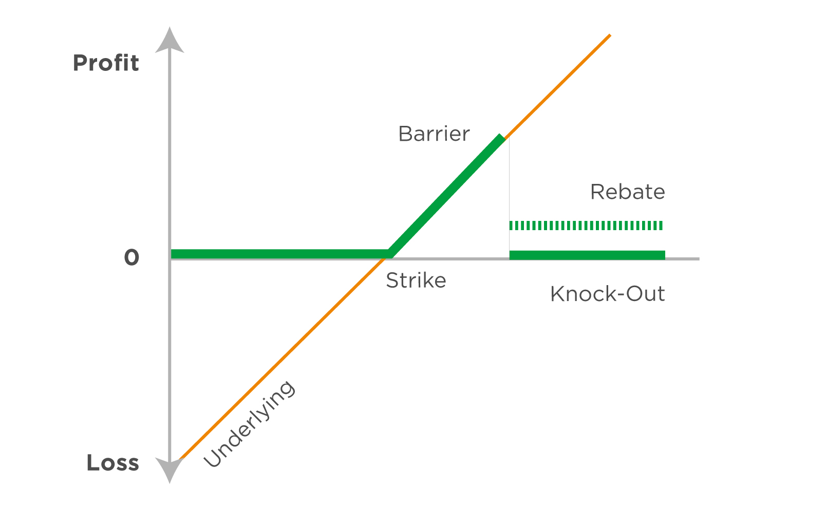 Capital Protection with Knock-Out